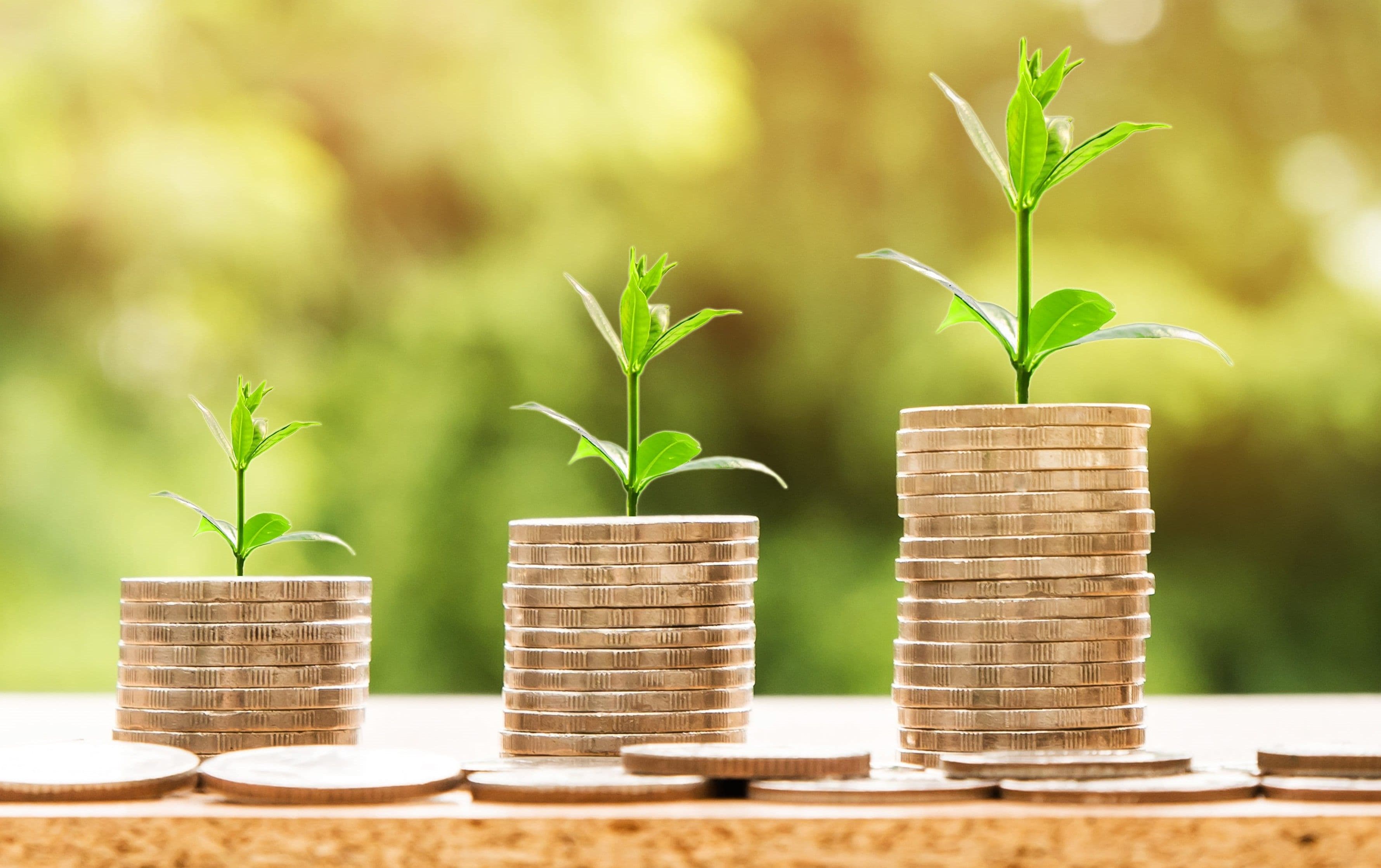 India’s green economy can create a trillion-dollar future, 48 million jobs