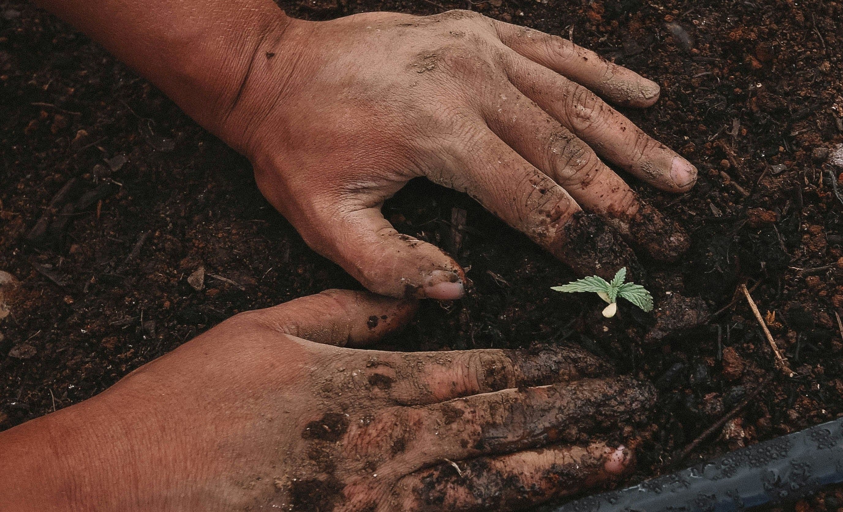 Global development at risk as $4tn SDG gap widens