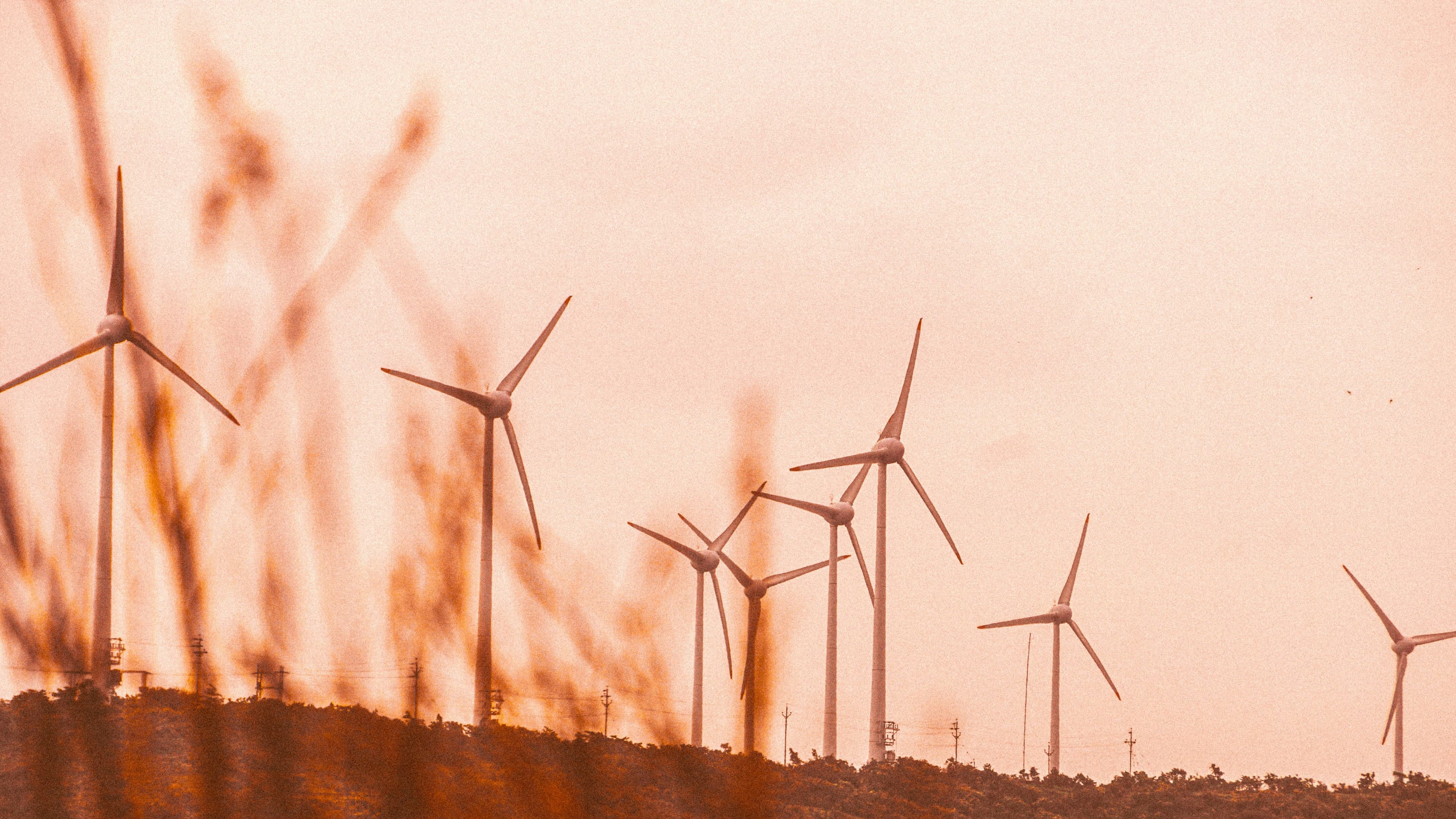 Green rush sparks $15b land play as solar-wind boom reshapes realty