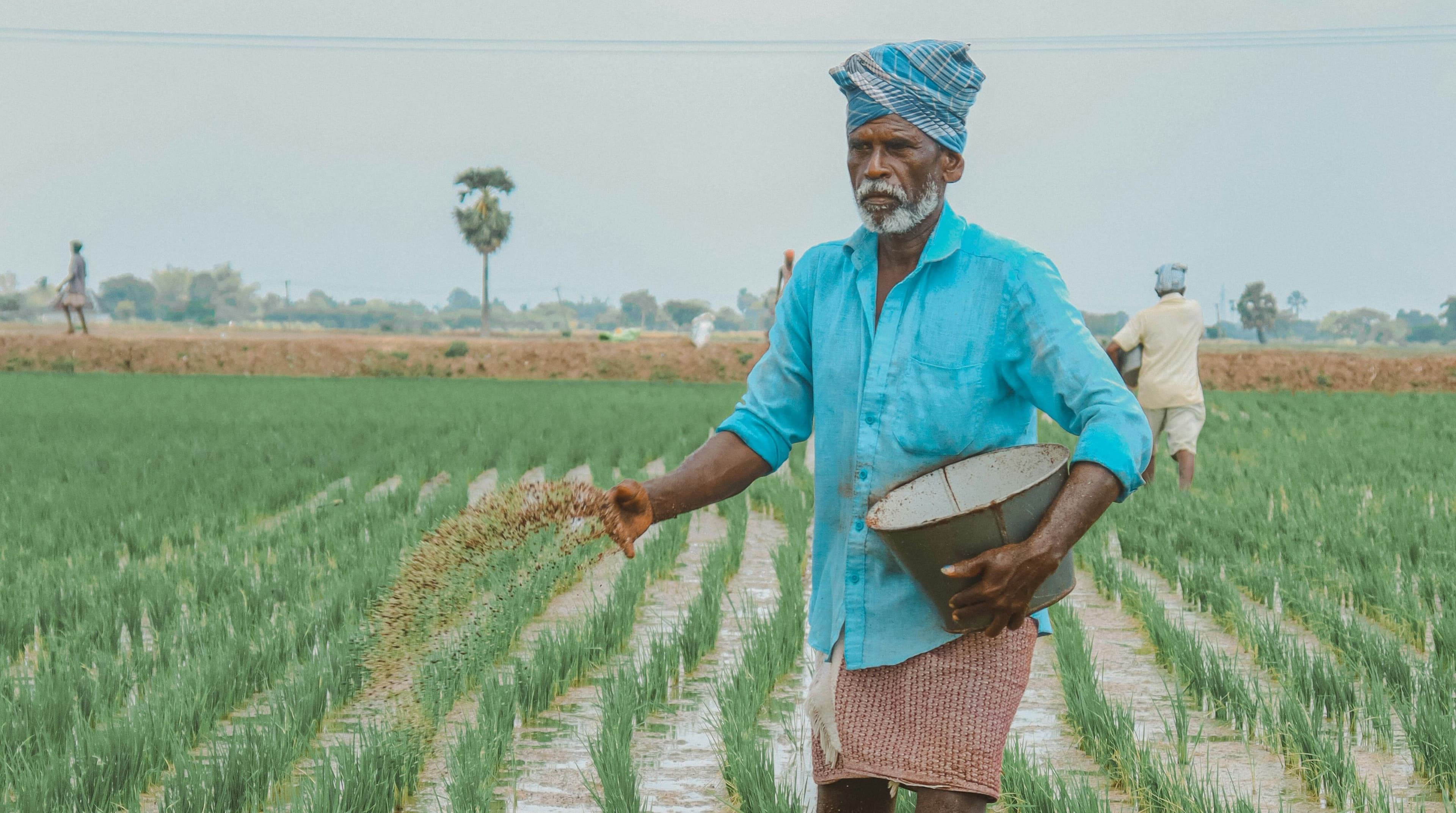 West Asia conflict triggers fertiliser subsidy shock