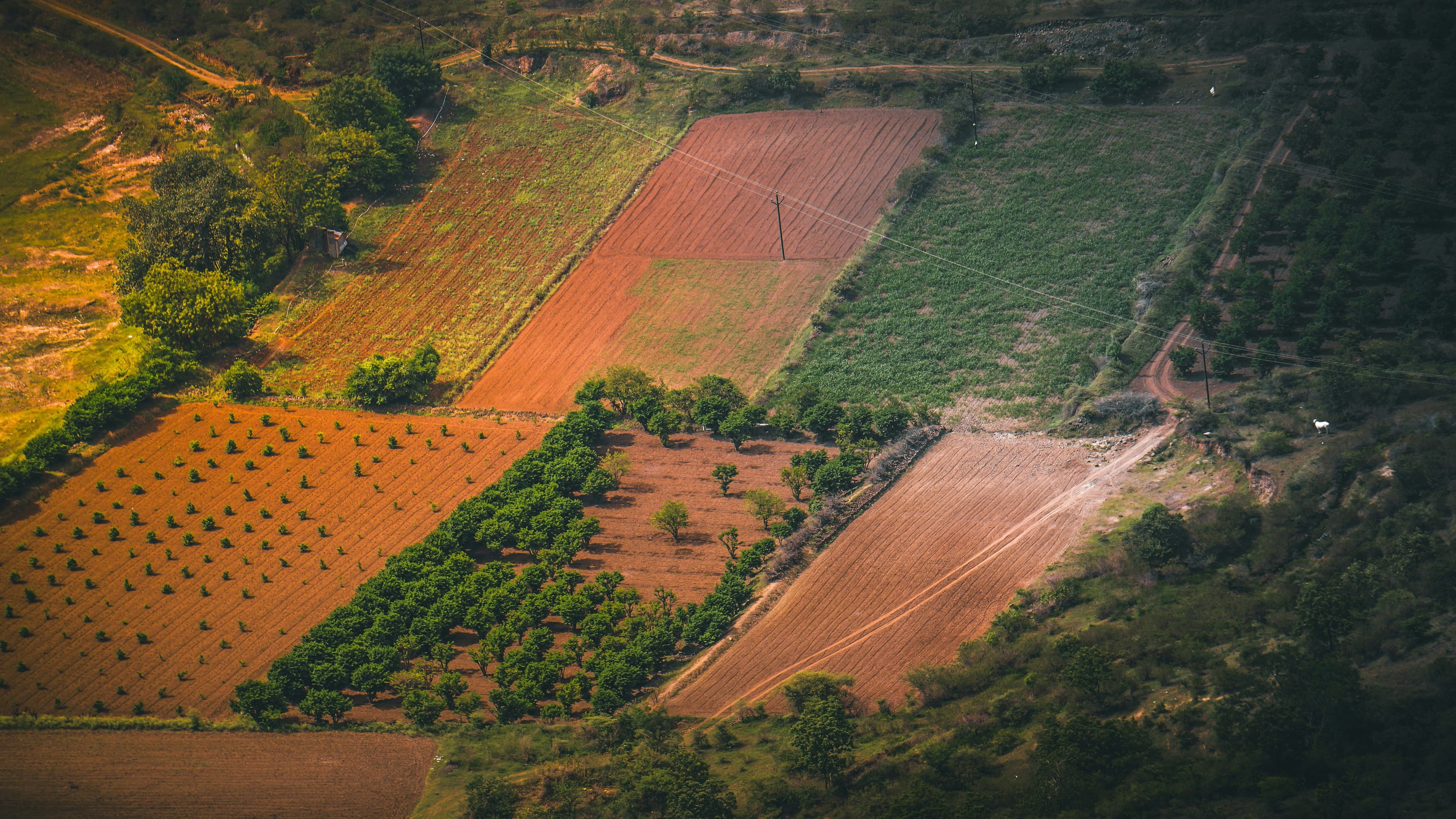 Land gridlock chokes India’s global manufacturing hub ambitions