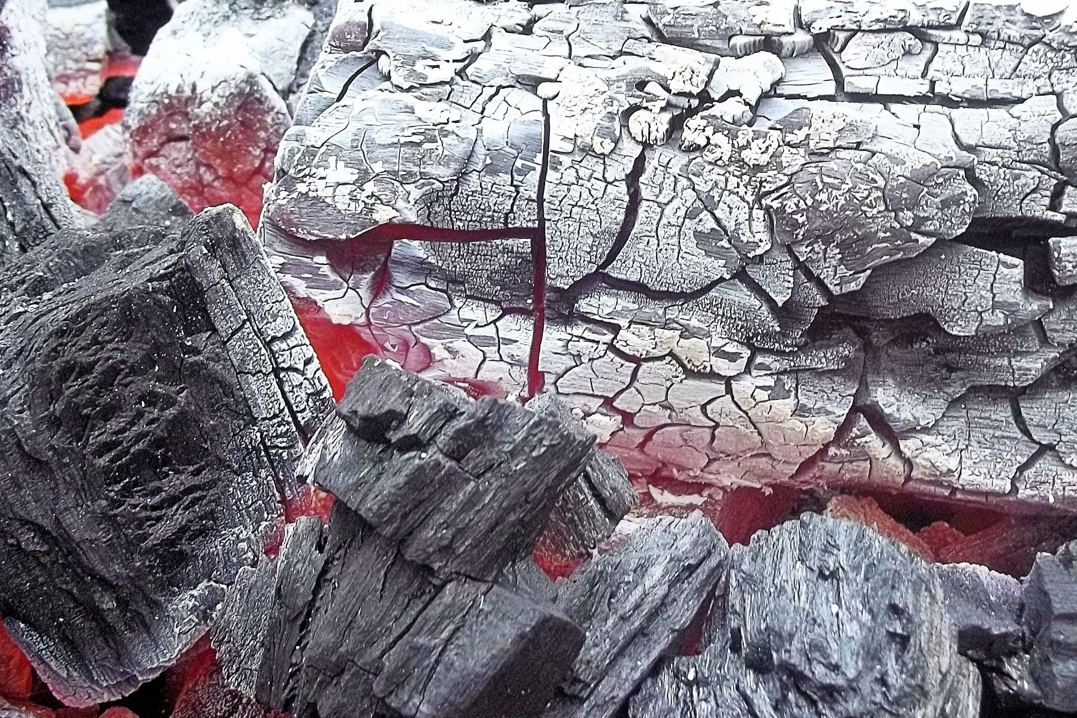 Global coal demand may 'edge down' by 2030: IEA